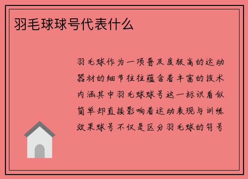 羽毛球球号代表什么